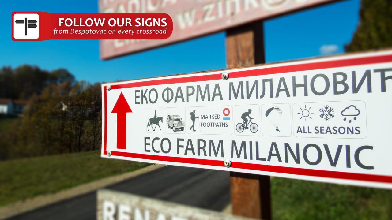代斯波托瓦茨 Eco Farm Milanovic旅馆 外观 照片
